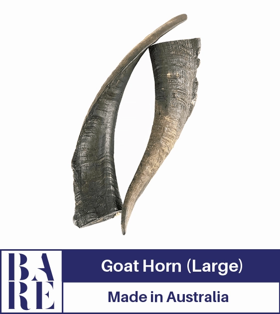 20% OFF: BARE Australian Premium Goat Horn Dog Treats (Large) dog chews,dog bones