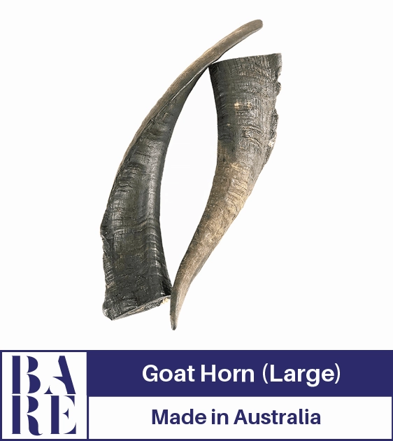 20% OFF: BARE Australian Premium Goat Horn Dog Treats (Large) large breed food,big dog food