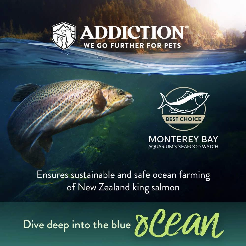 25% OFF: Addiction Salmon Bleu Puppy Grain Free Dry Dog Food