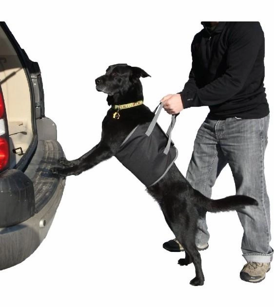 25% OFF: Outward Hound Pup Boost Lift Dog Harness