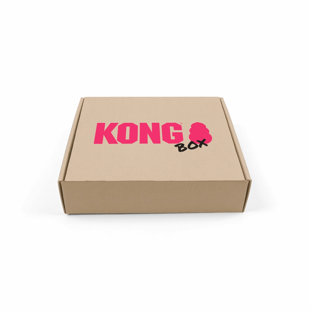 30% OFF: Kong Get Well Soon Box wet dog food,moist dog food