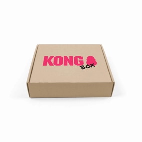 30% OFF: Kong Power Chewers Box pet souvenir,gift item