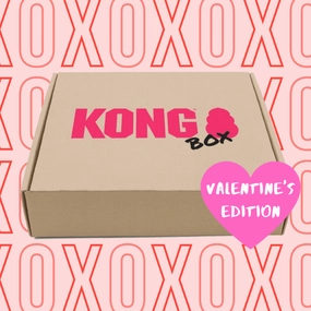 30% OFF: Kong Puppy Love Box pet souvenir,gift item