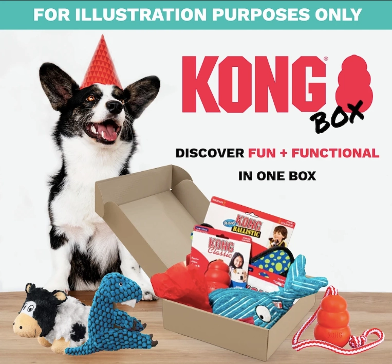 30% OFF: Kong Puppy Love Box