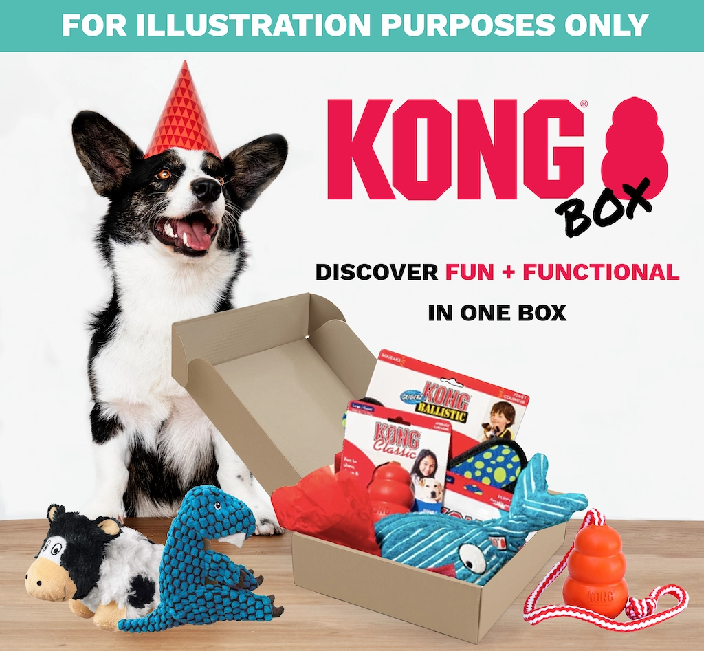 30% OFF: Kong Puppy Teethers Box