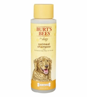 35% OFF: Burt's Bees Oatmeal with Colloidal Oat Flour & Honey Dog Shampoo
