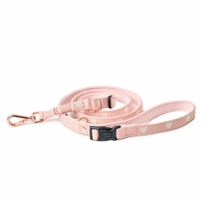 3-in-1 City Dog Leash Sweetheart dog mixer,pet meal booster