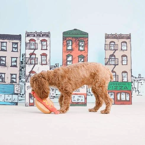 $18 ONLY: BarkShop Helga's Hot Dog Dog Plush Toy