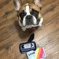 $18 ONLY: BarkShop Paws and Rewind VHS Dog Plush Toy