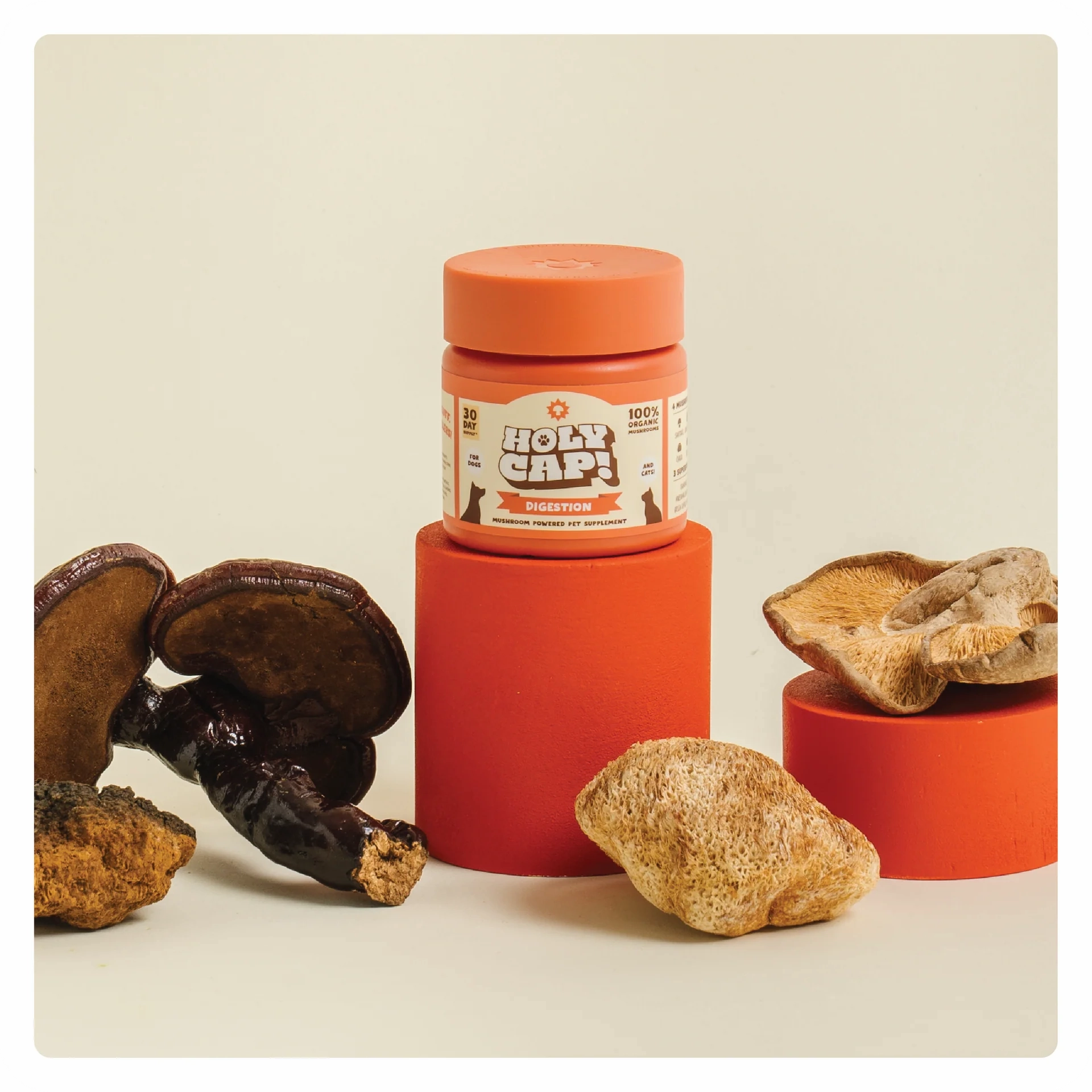 $29 ONLY [CLEARANCE]: Holy Cap Medicinal Mushroom Supplement for Dogs (Digestion)