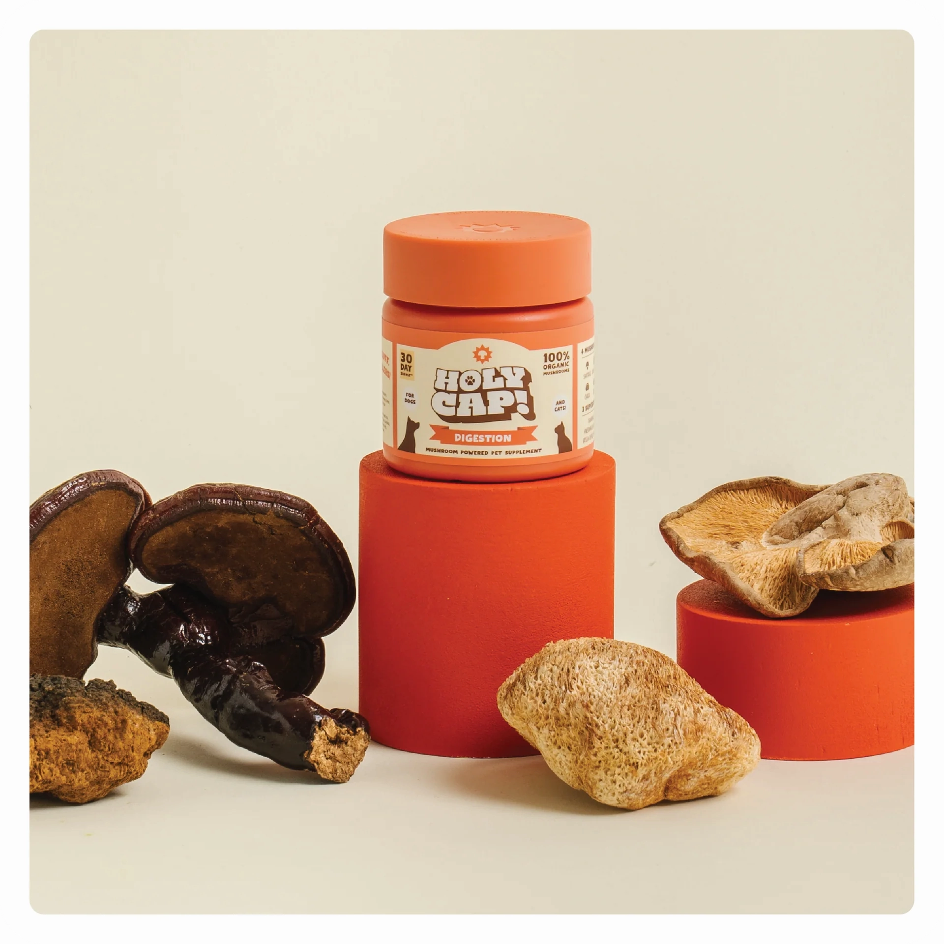 $29 ONLY [CLEARANCE]: Holy Cap Medicinal Mushroom Supplement for Dogs (Digestion)