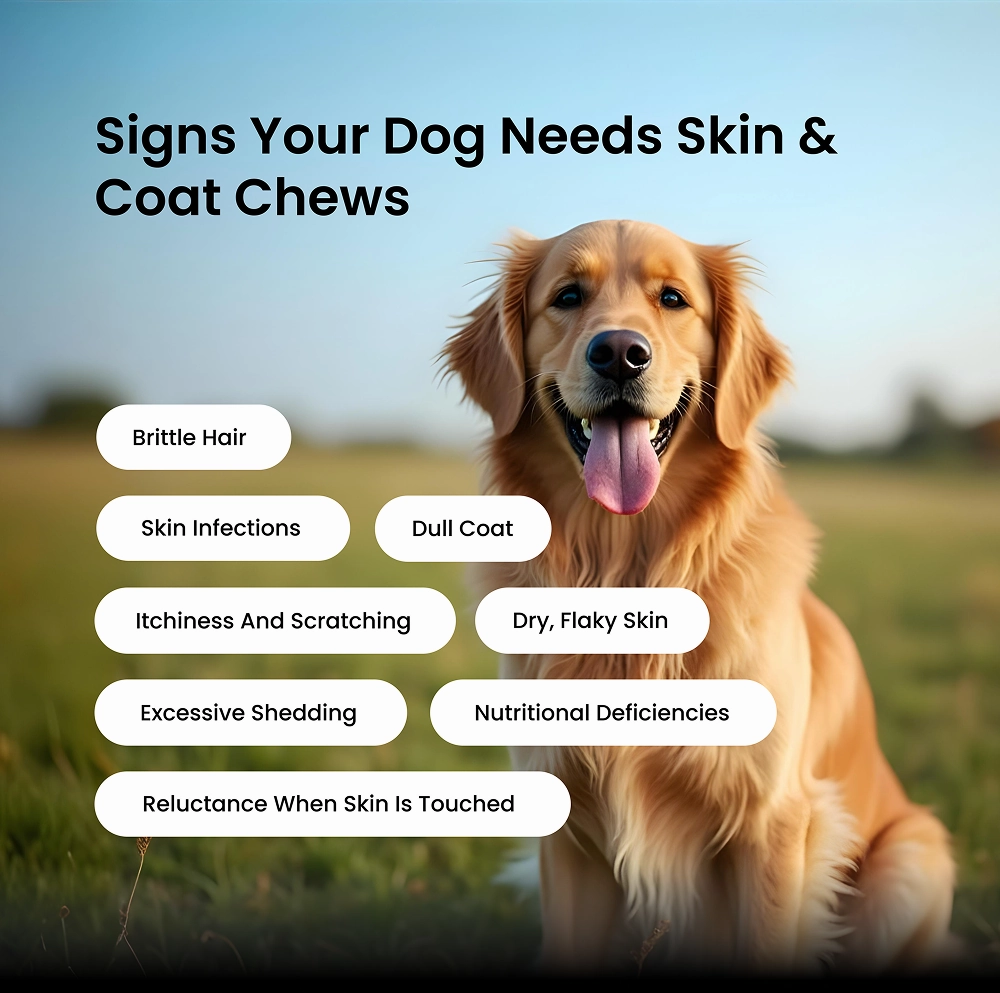 Absolut Pet Skin & Coat with Collagen and Biotin Dog Supplement