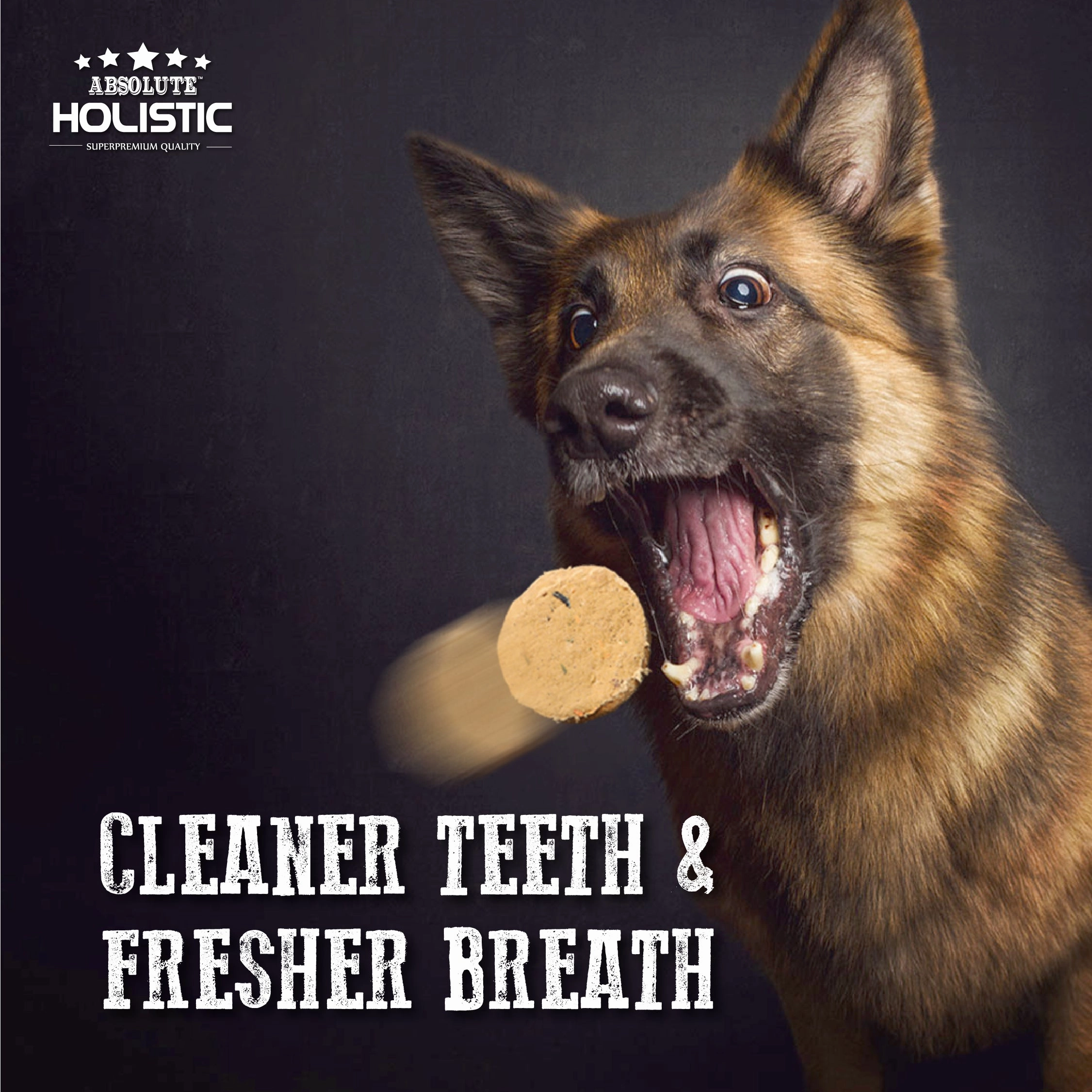 Absolute Holistic Freeze Dried Patties Dog Food (Chicken)