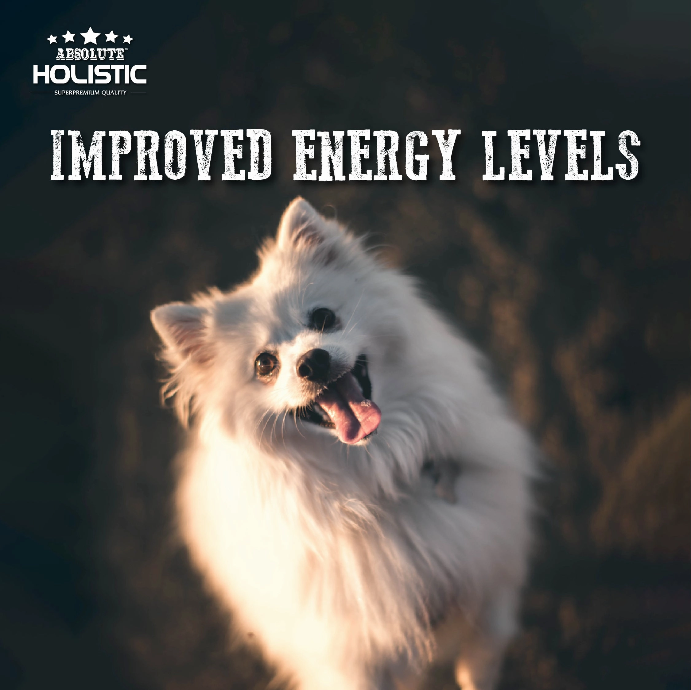 Absolute Holistic Freeze Dried Patties Dog Food (Lamb & Tuna)
