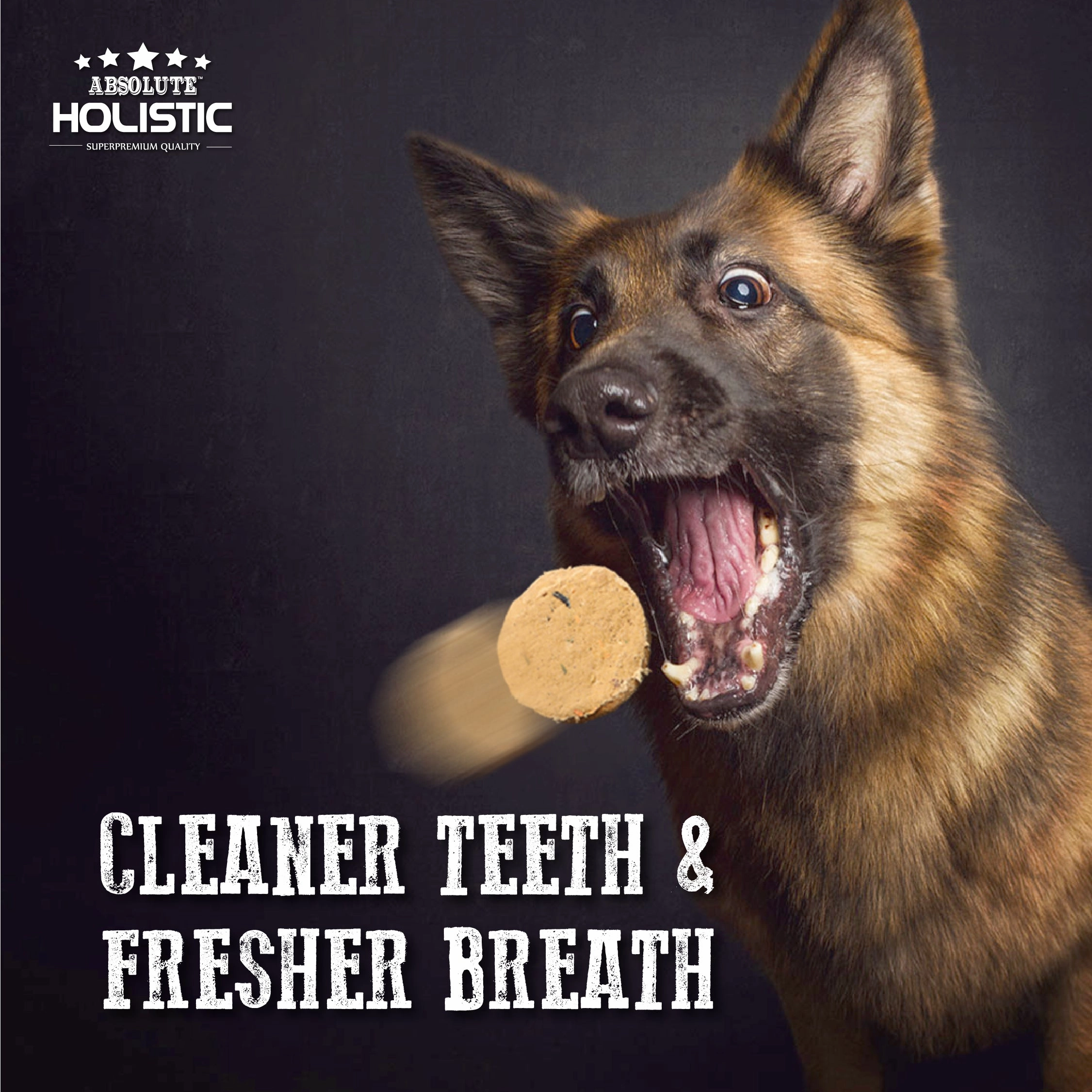 Absolute Holistic Freeze Dried Patties Dog Food (Venison & Beef)