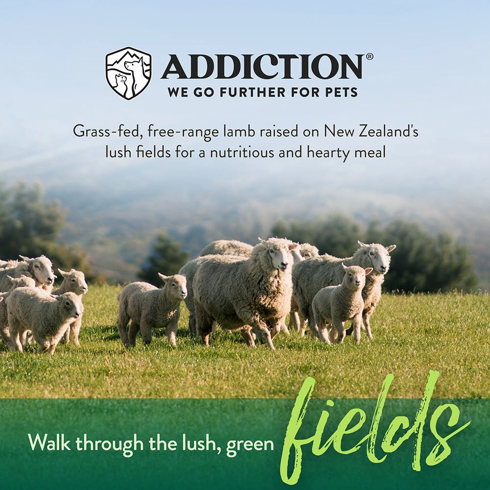 Addiction Dog Le Lamb 20lb