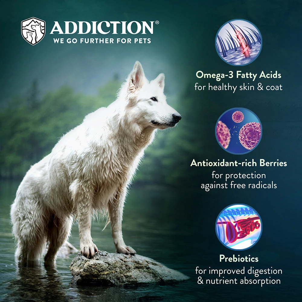 Addiction Dog Le Lamb 20lb