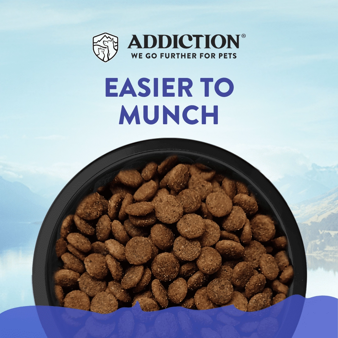 Addiction Dry Dog Food (Duck Royale Entree For Small Dogs)