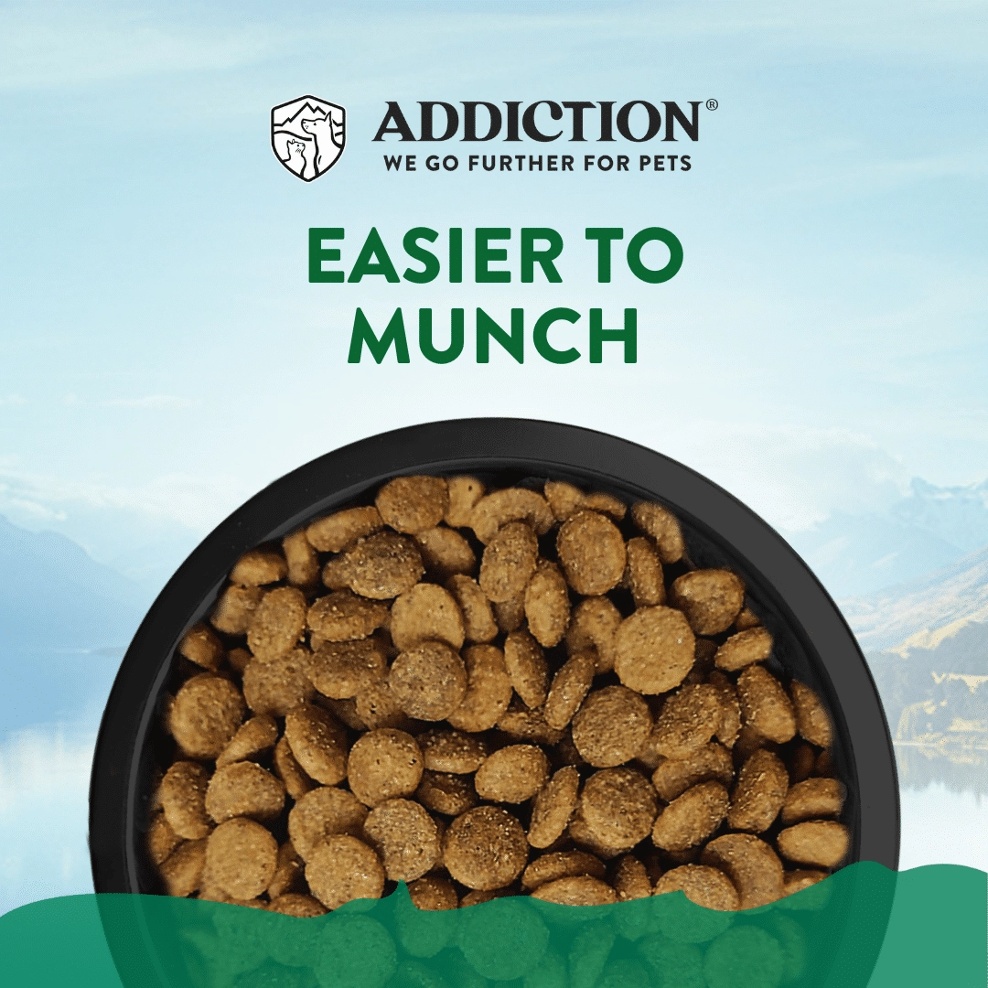 Addiction Dry Dog Food (Le Lamb For Small Dogs)