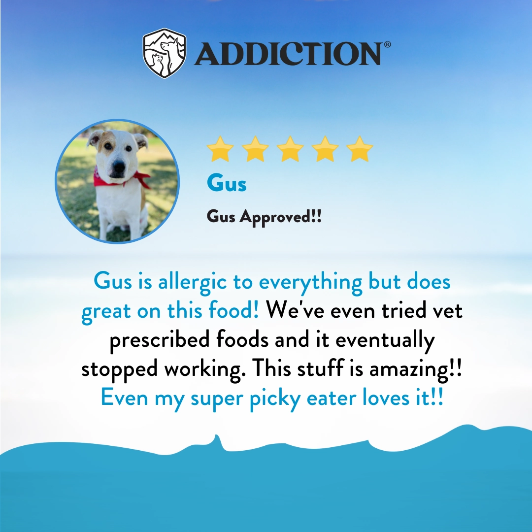 Addiction Dry Dog Food (Salmon Bleu ADULT)
