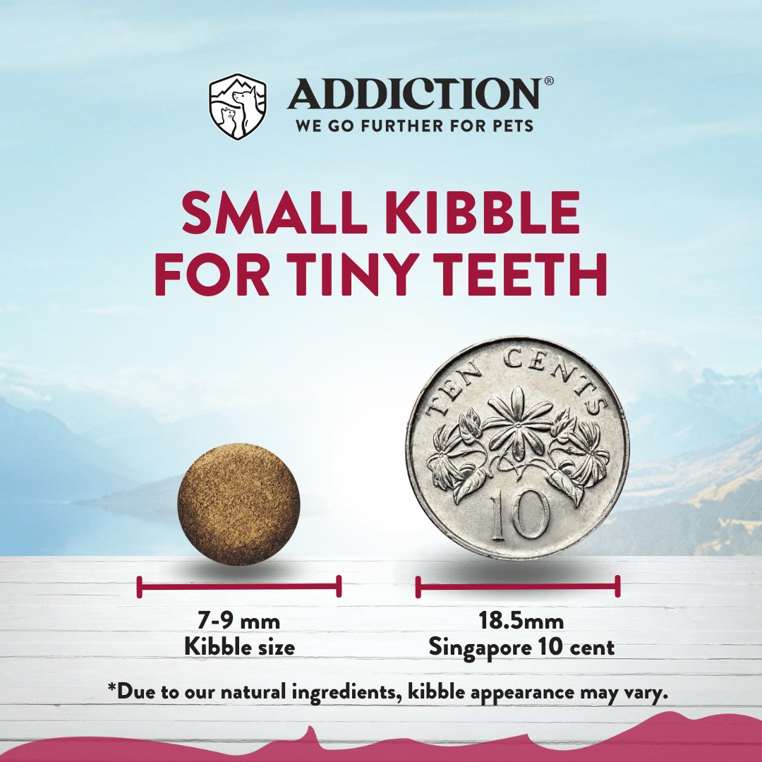 Addiction Dry Dog Food (Viva La Venison For Small Dogs)