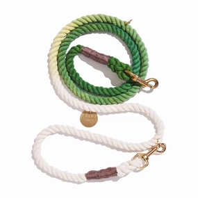 Adjustable Bolt Snaps Rope Dog Leash Fern Green Ombre dog mixer,pet meal booster