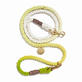 Adjustable Bolt Snaps Rope Dog Leash Lime Ombre dog mixer,pet meal booster