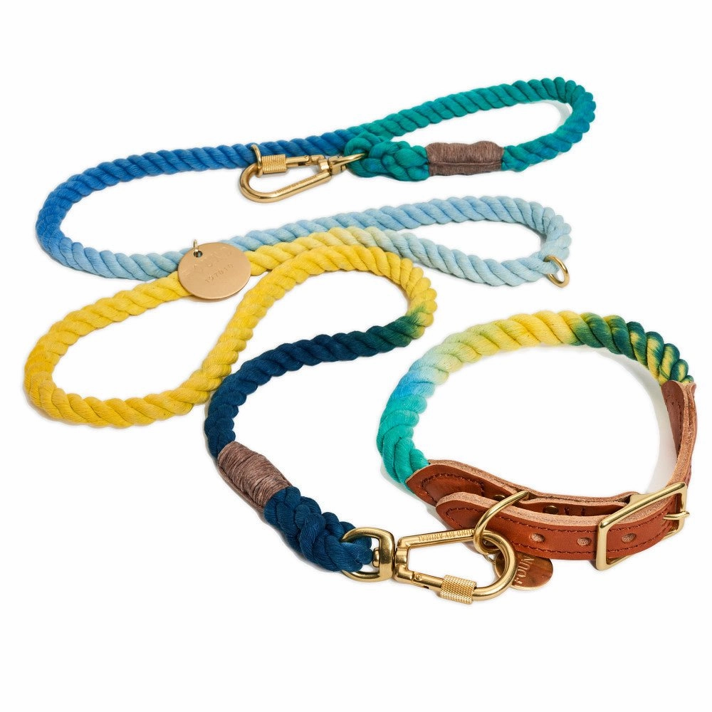 Adjustable Cotton Rope Dog Leash Azure Ombre