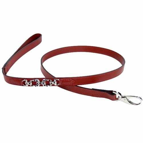 After Eight Collection Dog Leash Ferrari Red