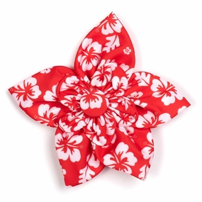 Aloha Dog Collar Flower Coral
