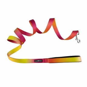 American River Ombre Dog Leash Raspberry Pink And Orange