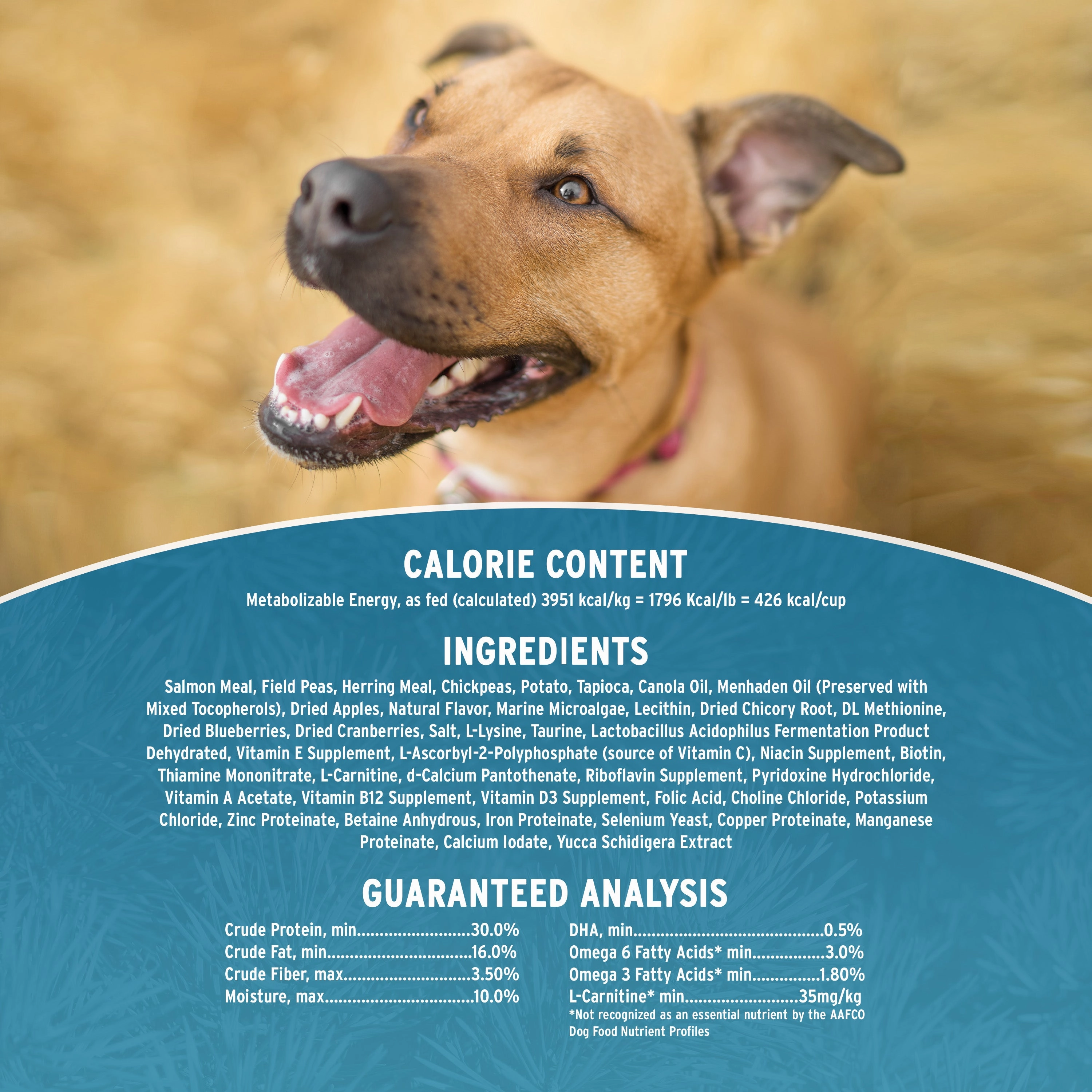 Annamaet Grain-Free Aqualuk Cold Water Formula Dry Dog Food