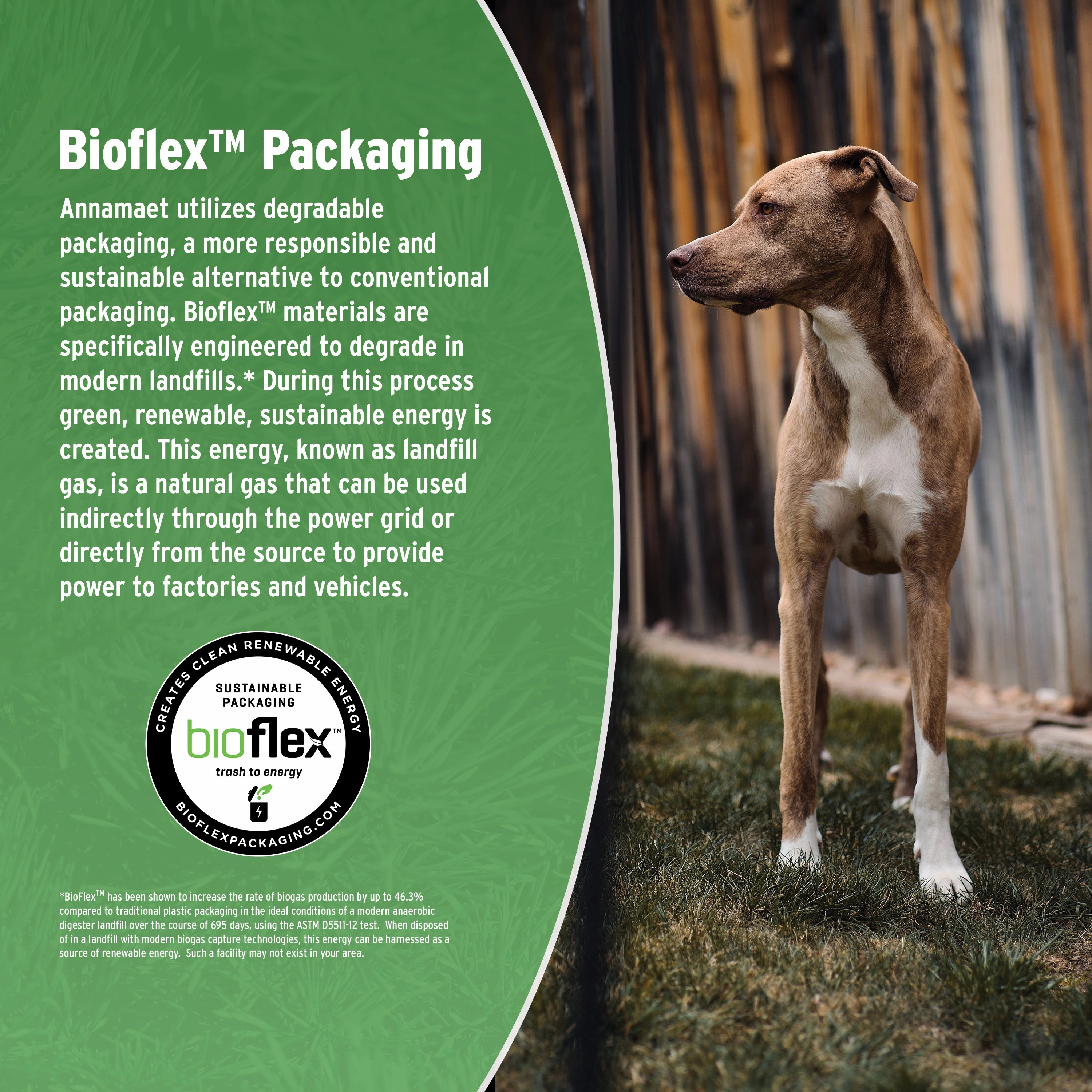 Annamaet Grain-Free Lean Low Fat Formula Dry Dog Food