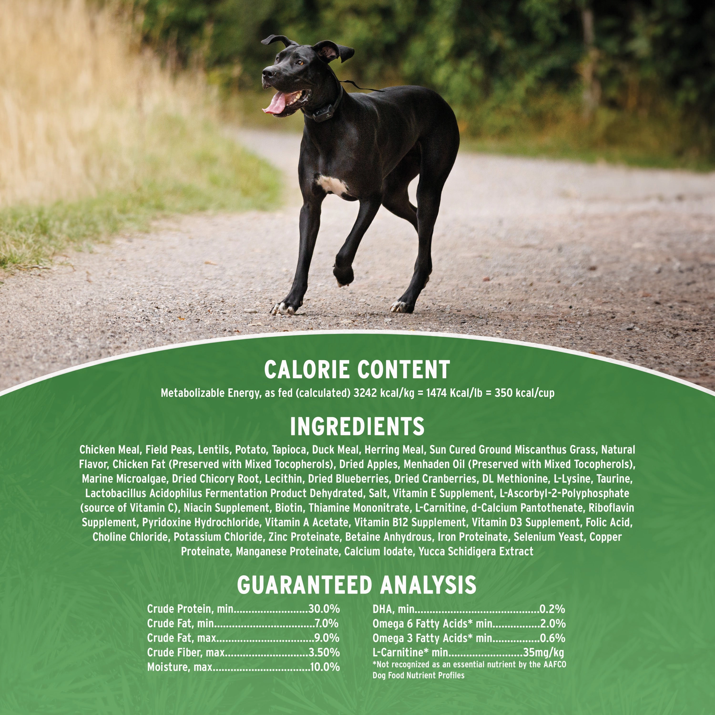 Annamaet Grain-Free Lean Low Fat Formula Dry Dog Food