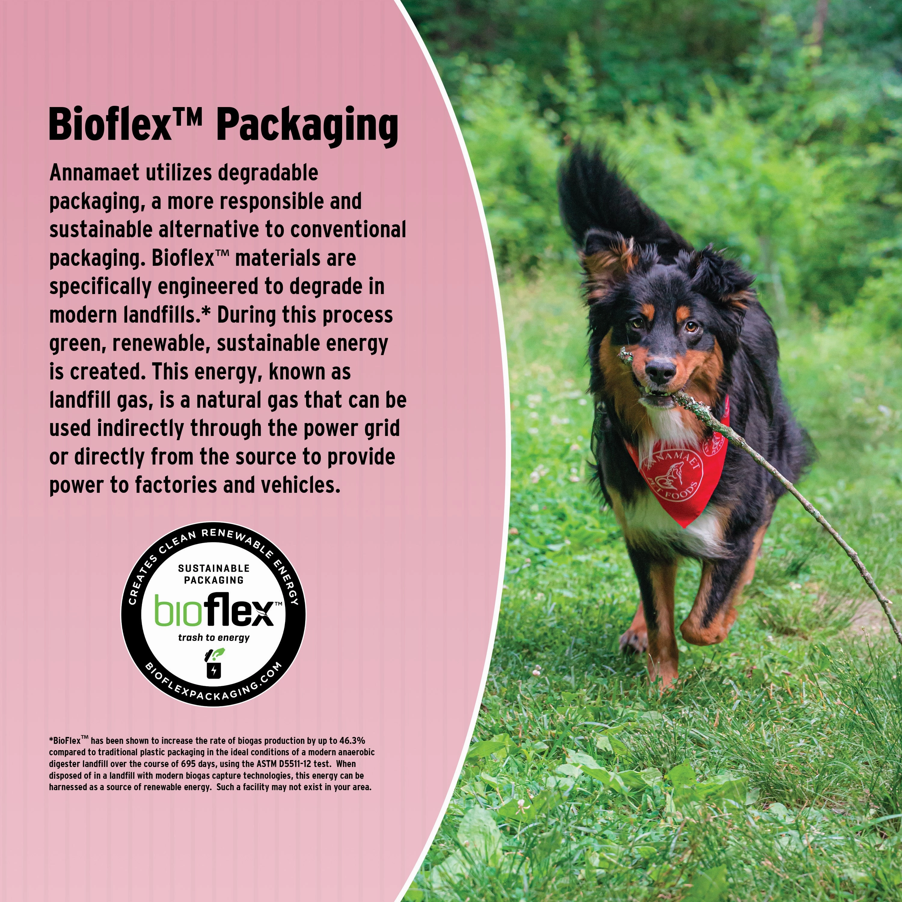 Annamaet Original Grain-Inclusive Sensitive Skin & Stomach Formula Dry Dog Food