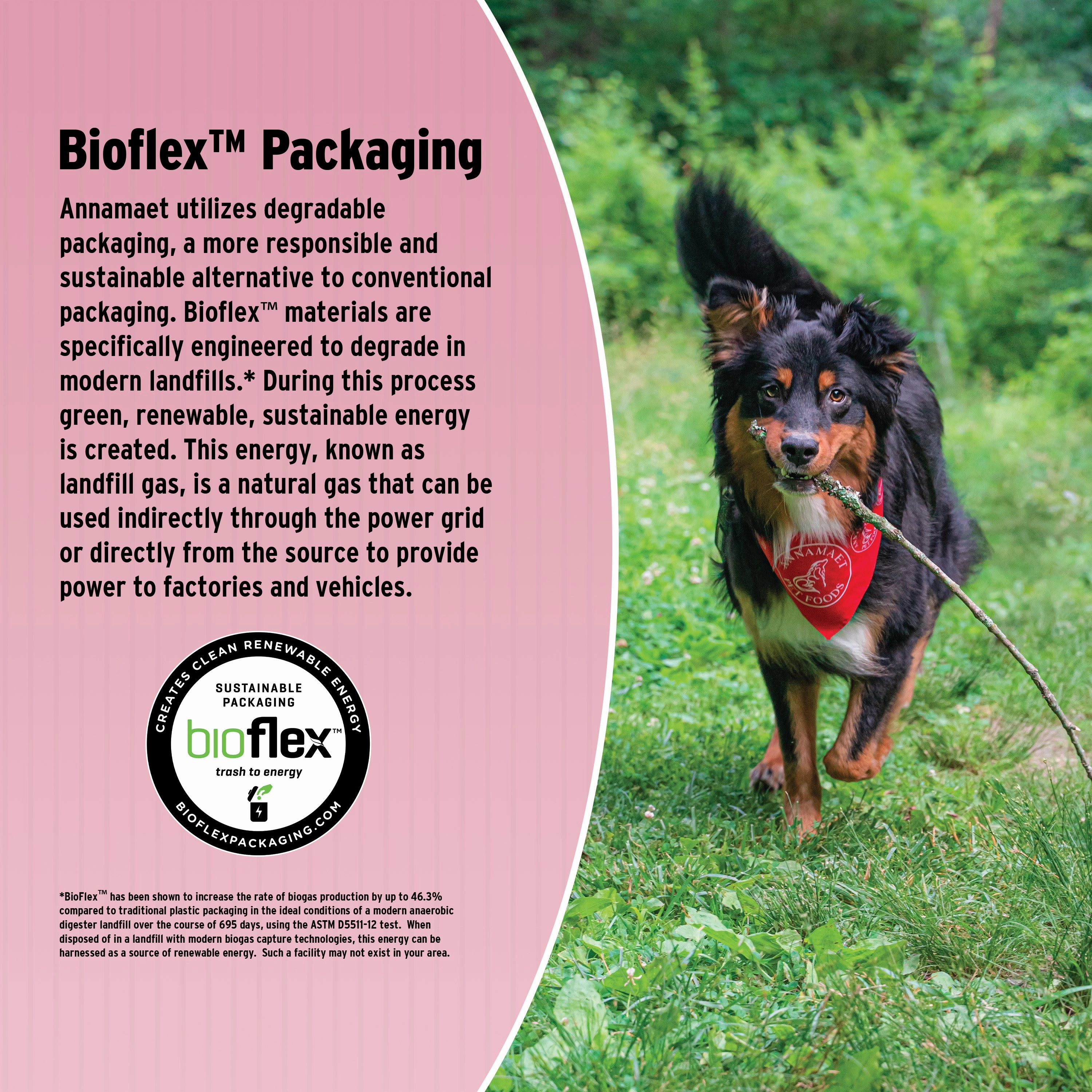 Annamaet Original Grain-Inclusive Sensitive Skin & Stomach Formula Dry Dog Food