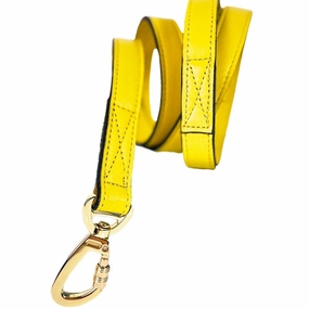 Athena Collection Dog Leash Canary Yellow/Gold dog mobility,outdoor pet aid