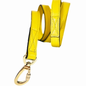 Athena Collection Dog Leash Canary Yellow/Gold