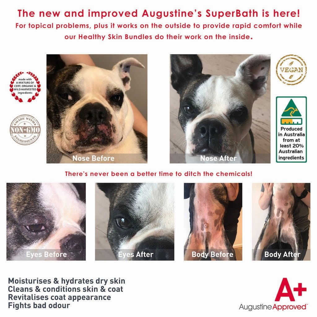 Augustine Approved SuperBath Skin Care for Dogs (Skin & Odour)