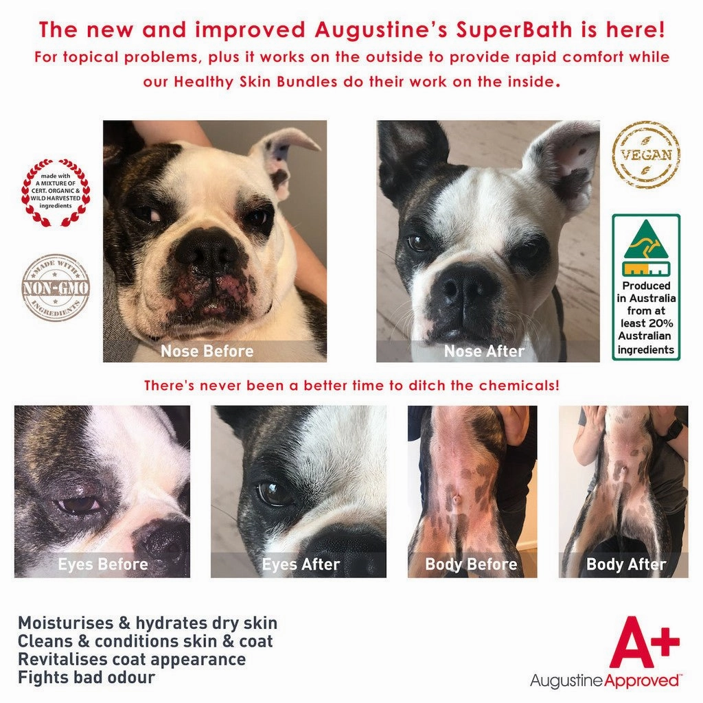 Augustine Approved SuperBath Skin Care for Dogs (Skin & Odour)