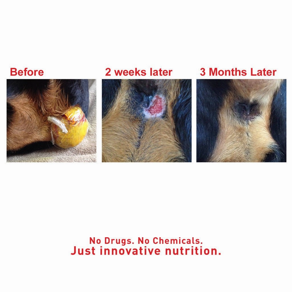 Augustine Approved SuperHeal Paste for Dogs (Lumps, Wounds & Irritation)