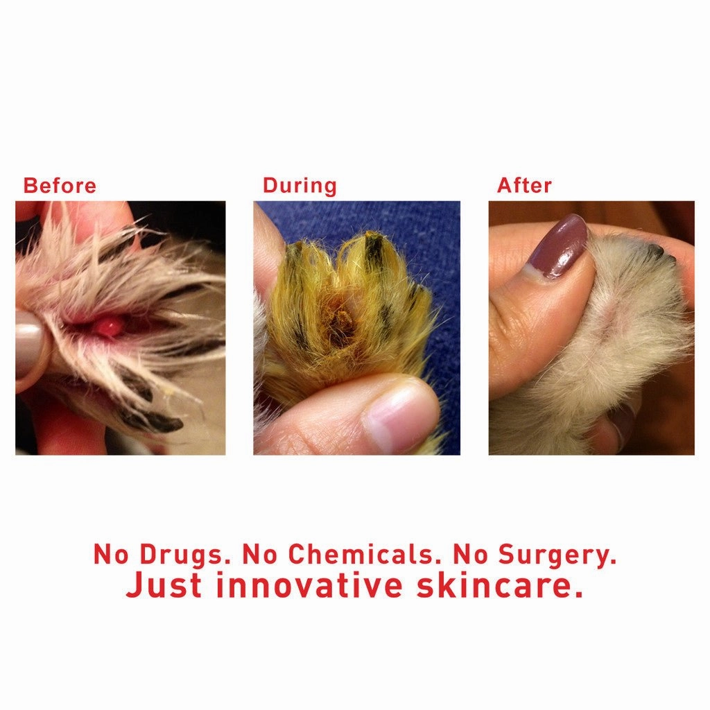 Augustine Approved SuperHeal Paste for Dogs (Lumps, Wounds & Irritation)