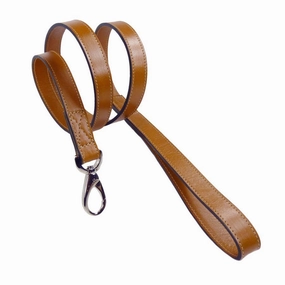 Barclay Collection Dog Leash Natural dog mobility,outdoor pet aid