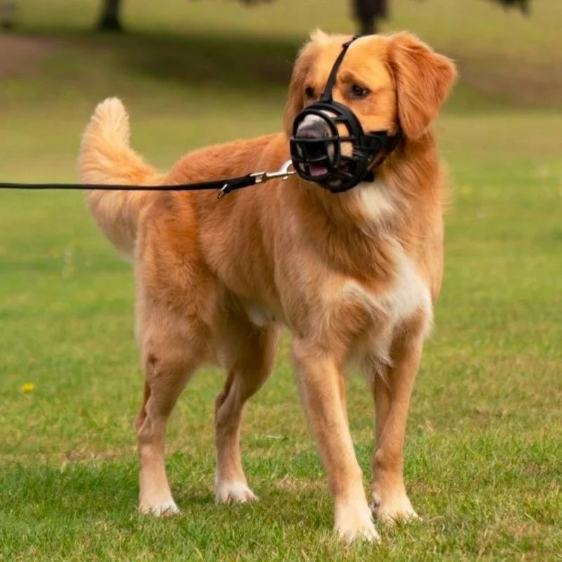 Baskerville Ultra Muzzle