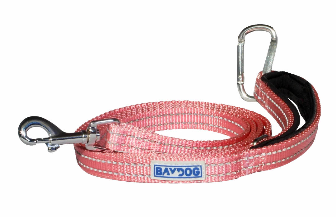 BayDog Pensacola Bay Dog Leash 6' for Small Dogs - Pink Lemonade
