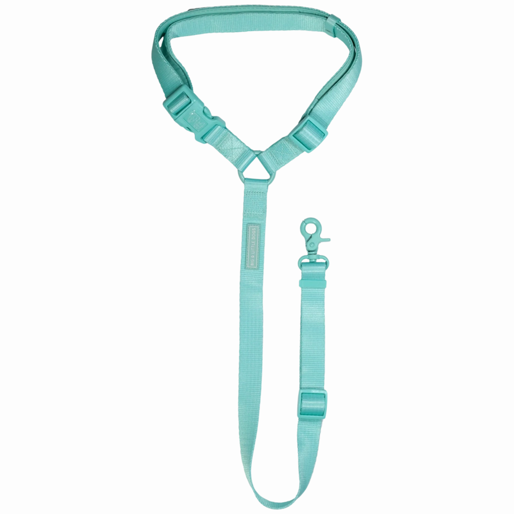 Big & Little Dog Premium Car Headrest Restraint - Aqua dog travel gear,pet travel
