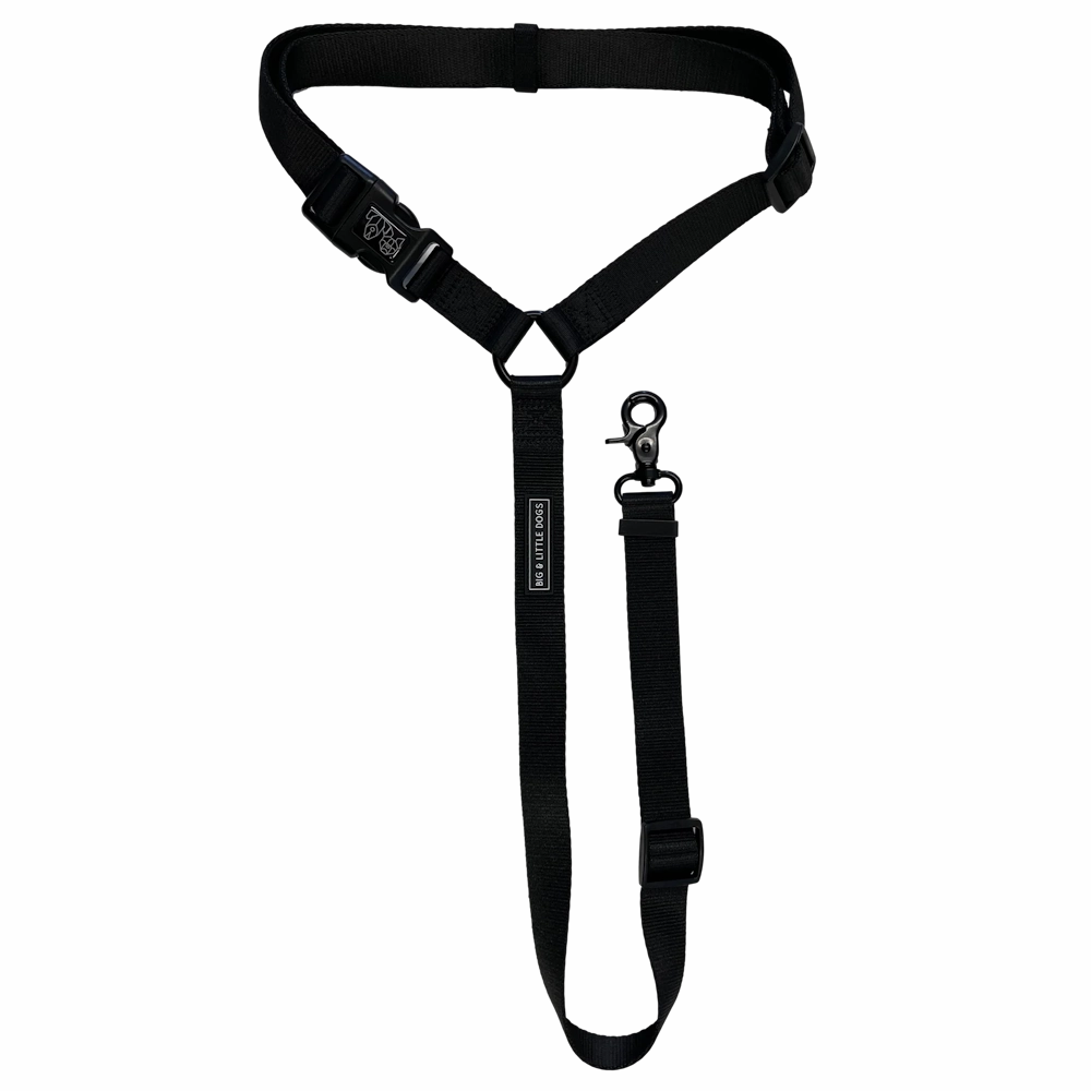 Big & Little Dog Premium Car Headrest Restraint - Black dog travel gear,pet travel