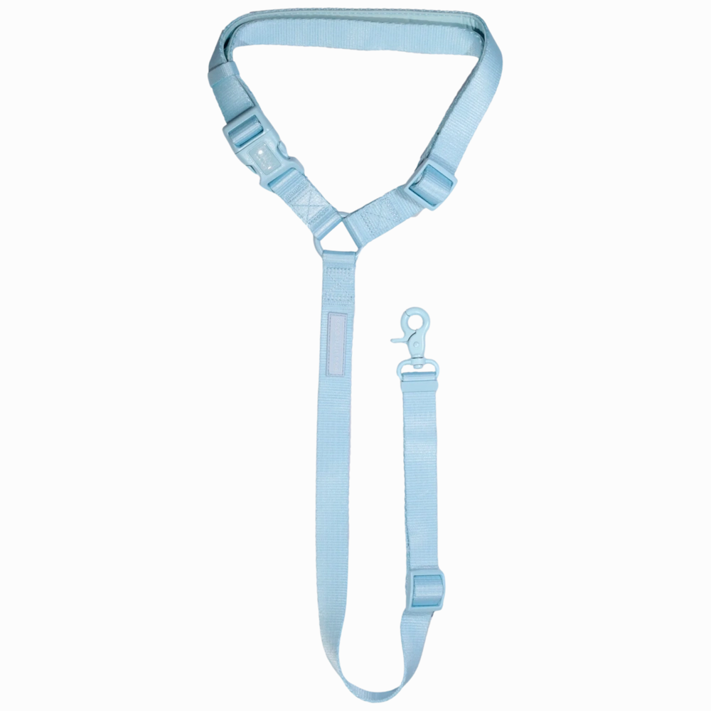 Big & Little Dog Premium Car Headrest Restraint - Blue dog travel gear,pet travel