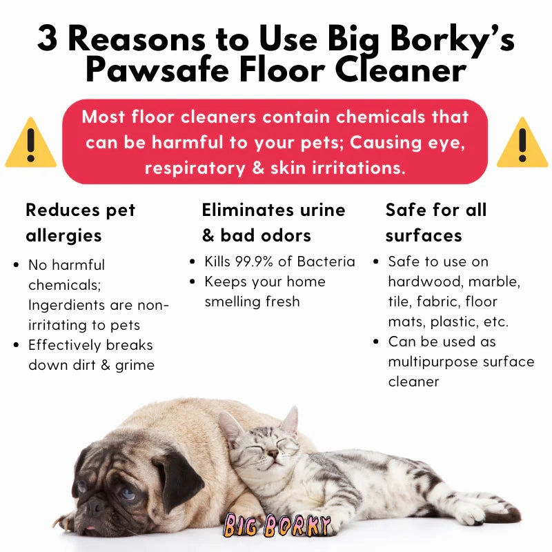 Big Borky Lavender Scented Pawsafe Floor Cleaner (Disinfects & Freshens All Surface Types)