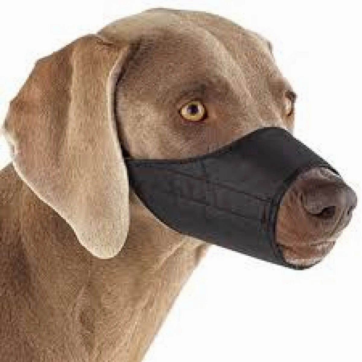 Buster - Nylon Dog Muzzle